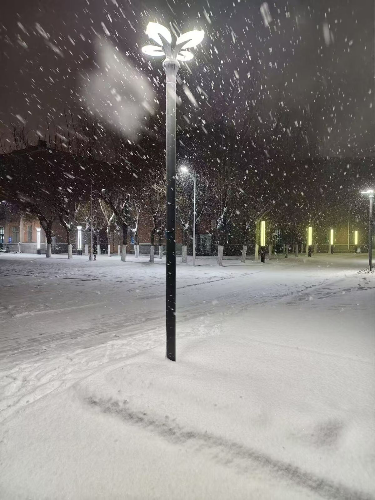 明伦风雪夜 · 河南大学